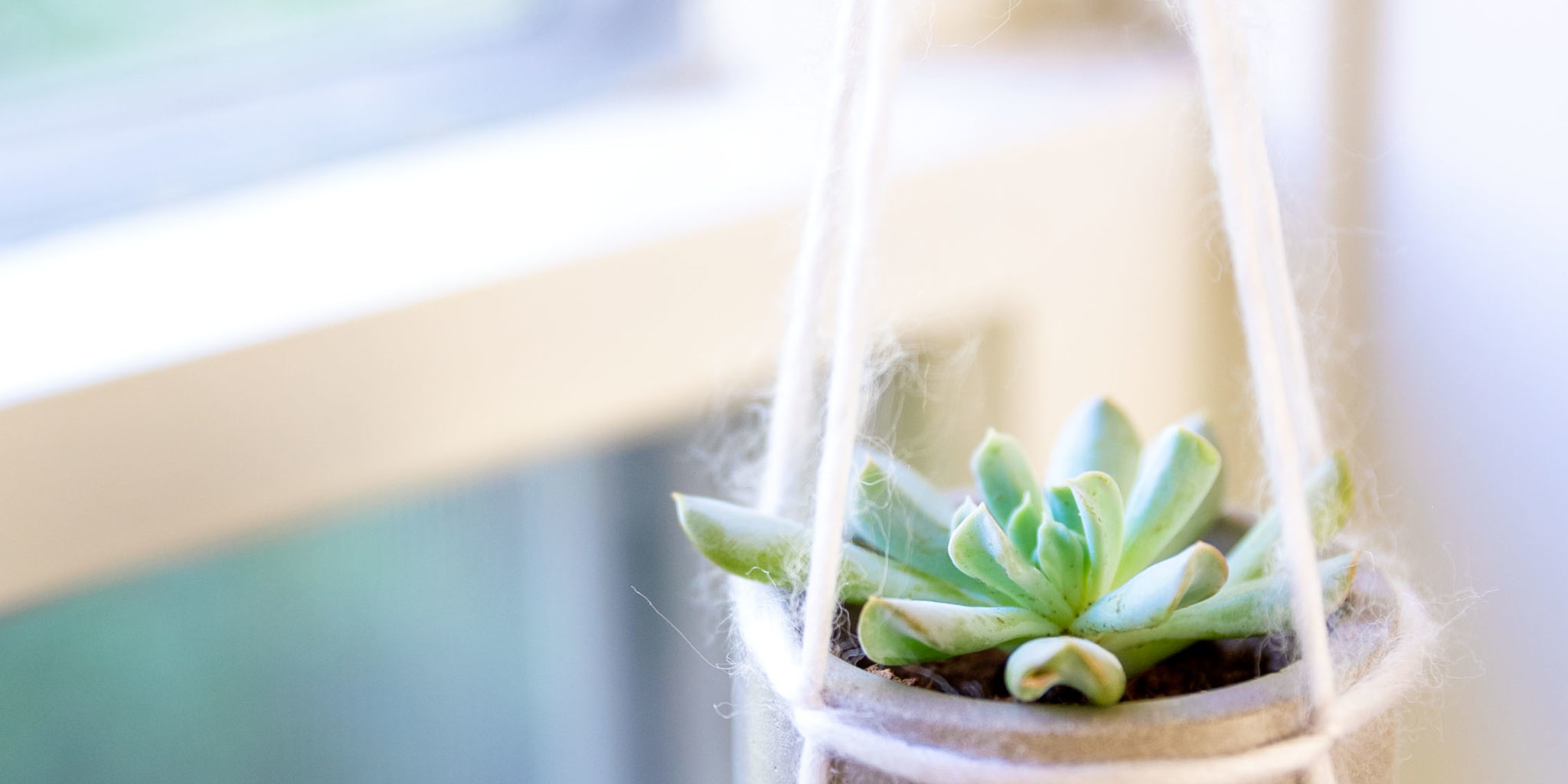 60 Saniyede Sukulent Askı Yapımı – 1