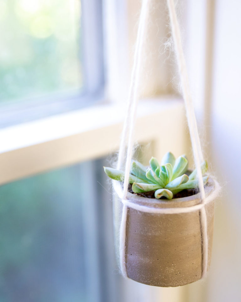 60 Saniyede Sukulent Askı Yapımı – 1 Blog 4