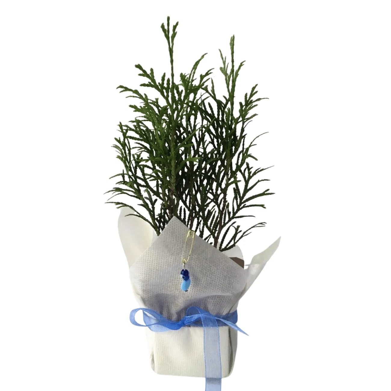 Batı Mazısı 1 Batı Mazısı