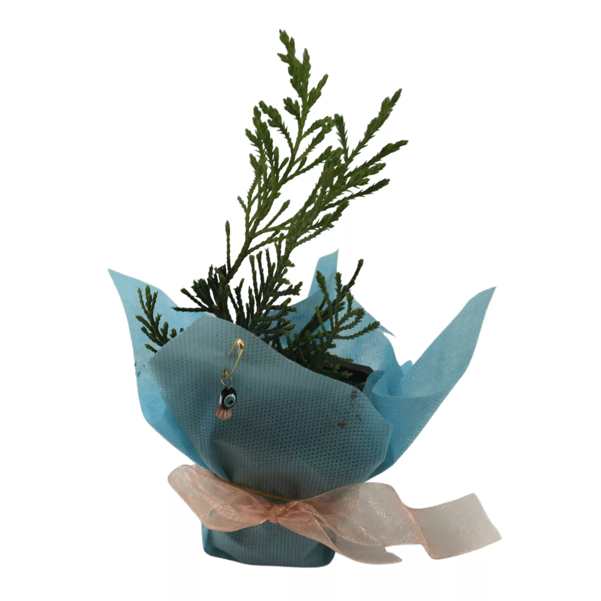 Leylandi Fidanı 1 Leylandi Fidanı