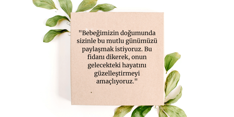 Bebek Fidanı Örnek Kart Bebek Fidanı Örnek Kart