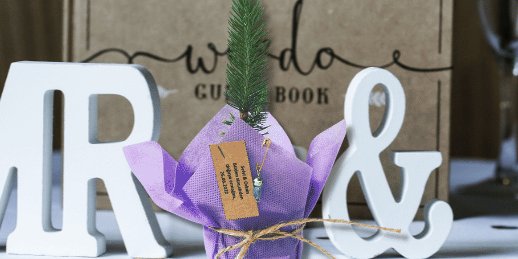 hediyelik-fidan-secmeniz-icin-3-neden