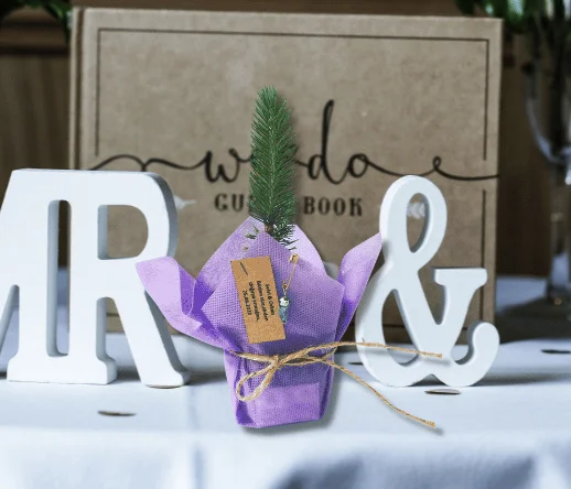 hediyelik-fidan-secmeniz-icin-3-neden Blog 1