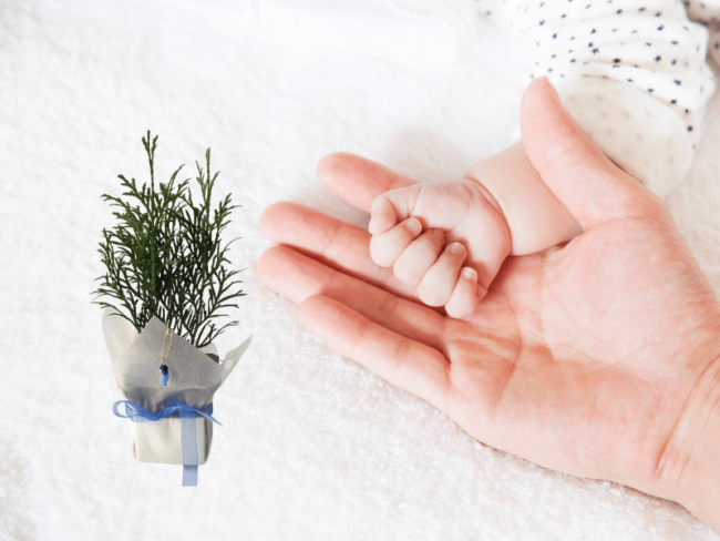 Bebek Hediyeleri | Yenidoğan Bebek için Hediyelikler Bebek Hediyeleri | Yenidoğan Bebek için Hediyelikler