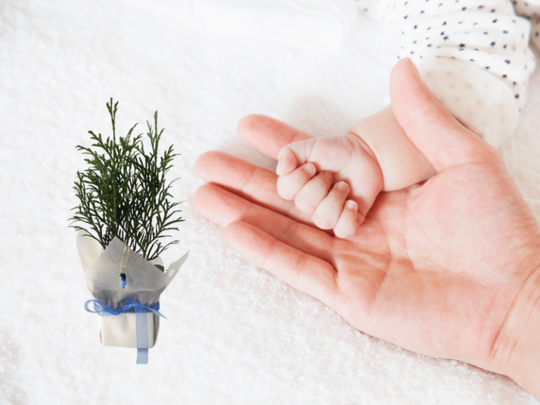 Bebek Hediyeleri | Yenidoğan Bebek için Hediyelikler