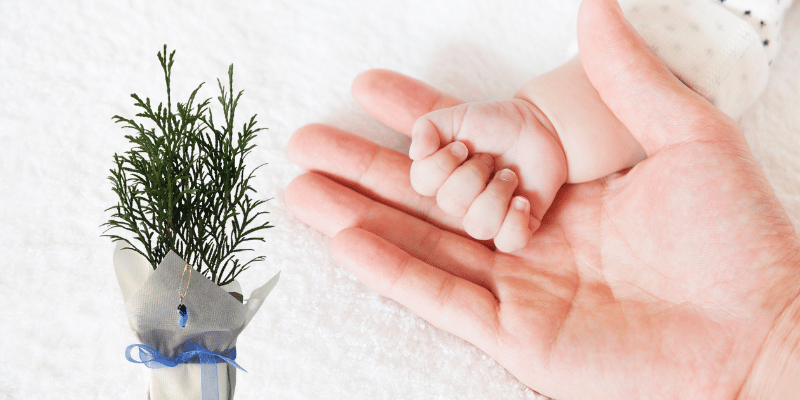 Bebek Hediyeleri | Yenidoğan Bebek için Hediyelikler