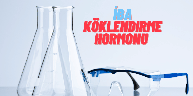 Köklendirme Hormonu IBA