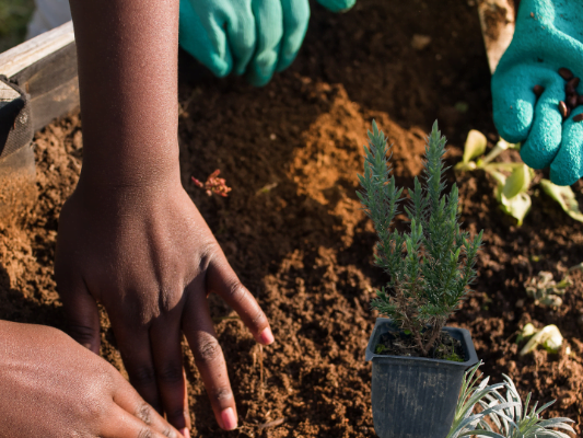 Ekolojik Doğa Dostu Hediyeler