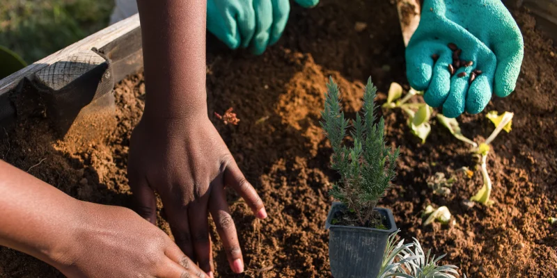 Ekolojik Doğa Dostu Hediyeler
