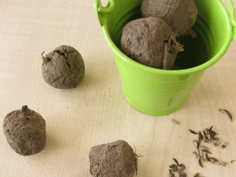 Tohum Topu Yapalım Hediyelik tohum topu