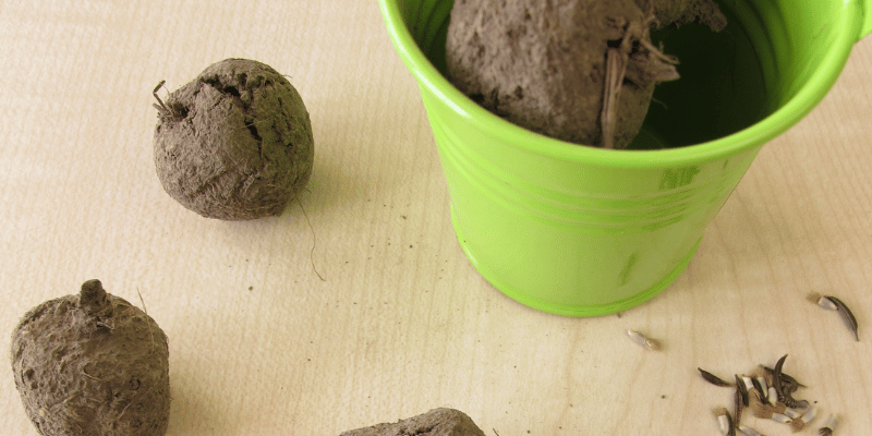 Tohum Topu Yapalım Hediyelik tohum topu